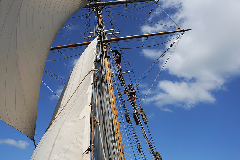 Sail on the R Tucker Thompson, Bay of Islands, NZ